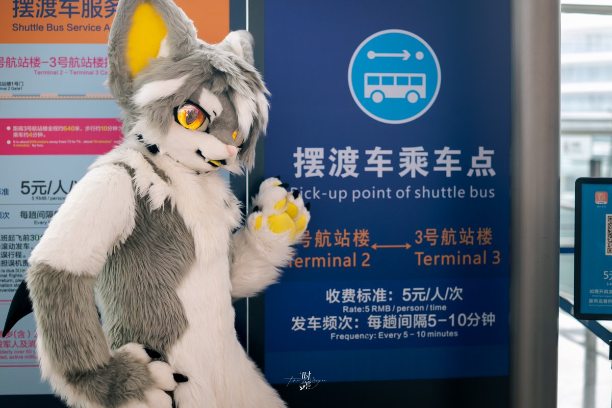 furfurfusion's tweet photo. 「毛了个毛・乘风启航」摆渡车搭乘指引

亲爱的梦想家们~

为方便大家往返展会现场，“毛了个毛·乘风启航” 特别准备了免费摆渡车服务。

✨ 免费乘车凭证：
搭乘摆渡车时，向服务人员出示下方图一，即可免费乘坐，无需支付任何费用。 https://t.co/ryKkED0Vcc