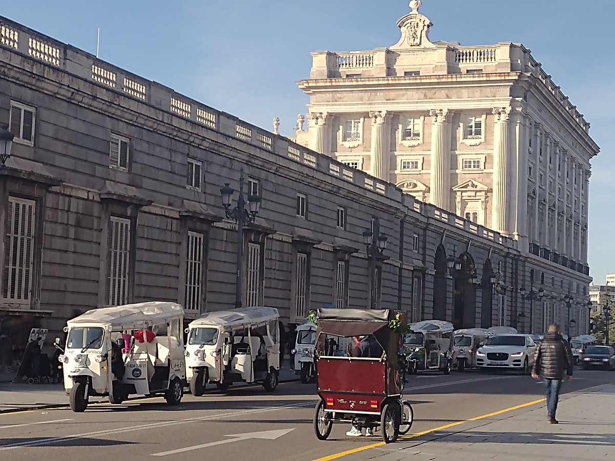 ¿Os imagináis los alrededores de Buckingham Palace, del Louvre, de Versalles o del Palacio de Invierno de San Petersburgo rodeado de tuktuks? 

¿Por qué aquí tenemos que verlos junto al Palacio Real?