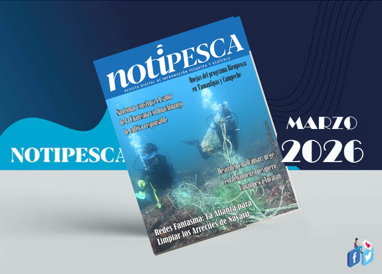 NotiPesca's tweet photo. Es marzo y aquí está la revista digital @NotiPesca para usted que es pescador, acuacultor, expendedor, empresario, funcionario, autoridad, legislador, consumidor, ambientalista, o lector interesado en la pesca y la acuacultura. Léala, es gratis. https://t.co/fgBsgkwV8x https://t.co/WZN7zRaAwB