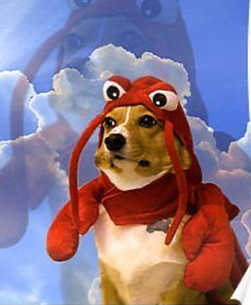 Huestia_'s tweet photo. This is the picture I used for refence:D https://t.co/9Wwa9AuAB0