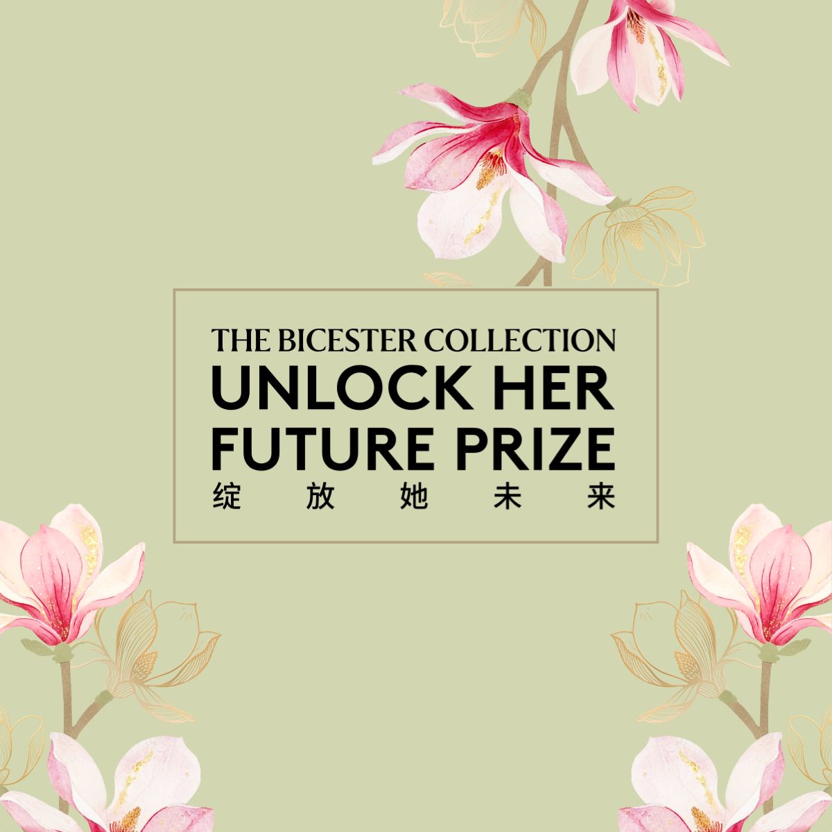 YouNoodle tweet media