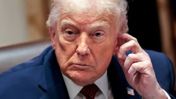 PoissonFrancais🇫🇷🐟 tweet media