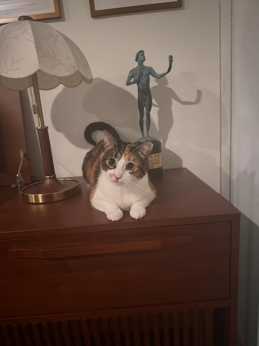 best of supriya ganesh tweet media