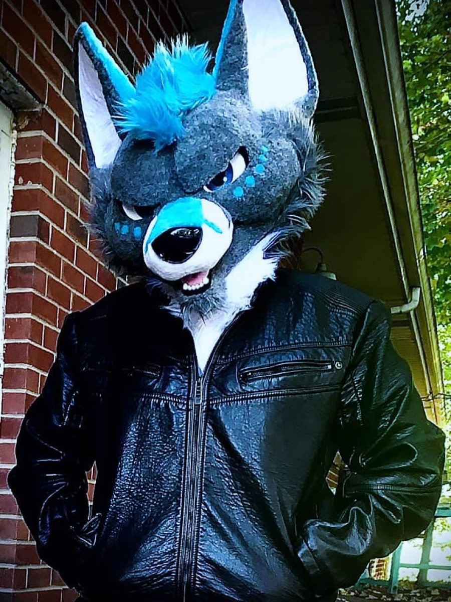 🐾🐾GrumpyHusky 🐾🐾 🔜FWA26 tweet media