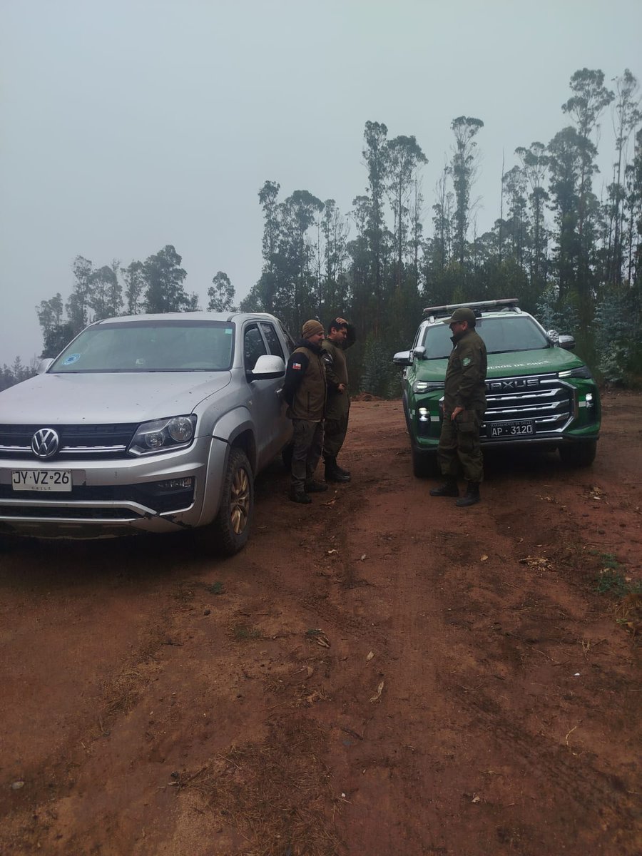 CONAF Biobío tweet media