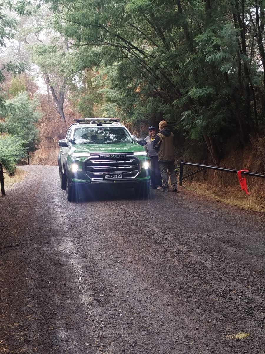 CONAF Biobío tweet media