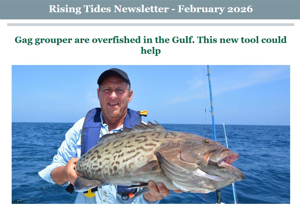 USF College of Marine Science tweet media