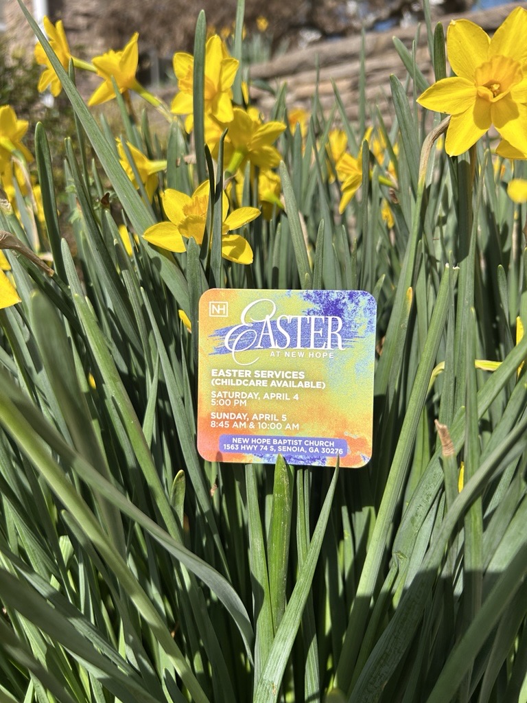 New Hope Baptist Church tweet media