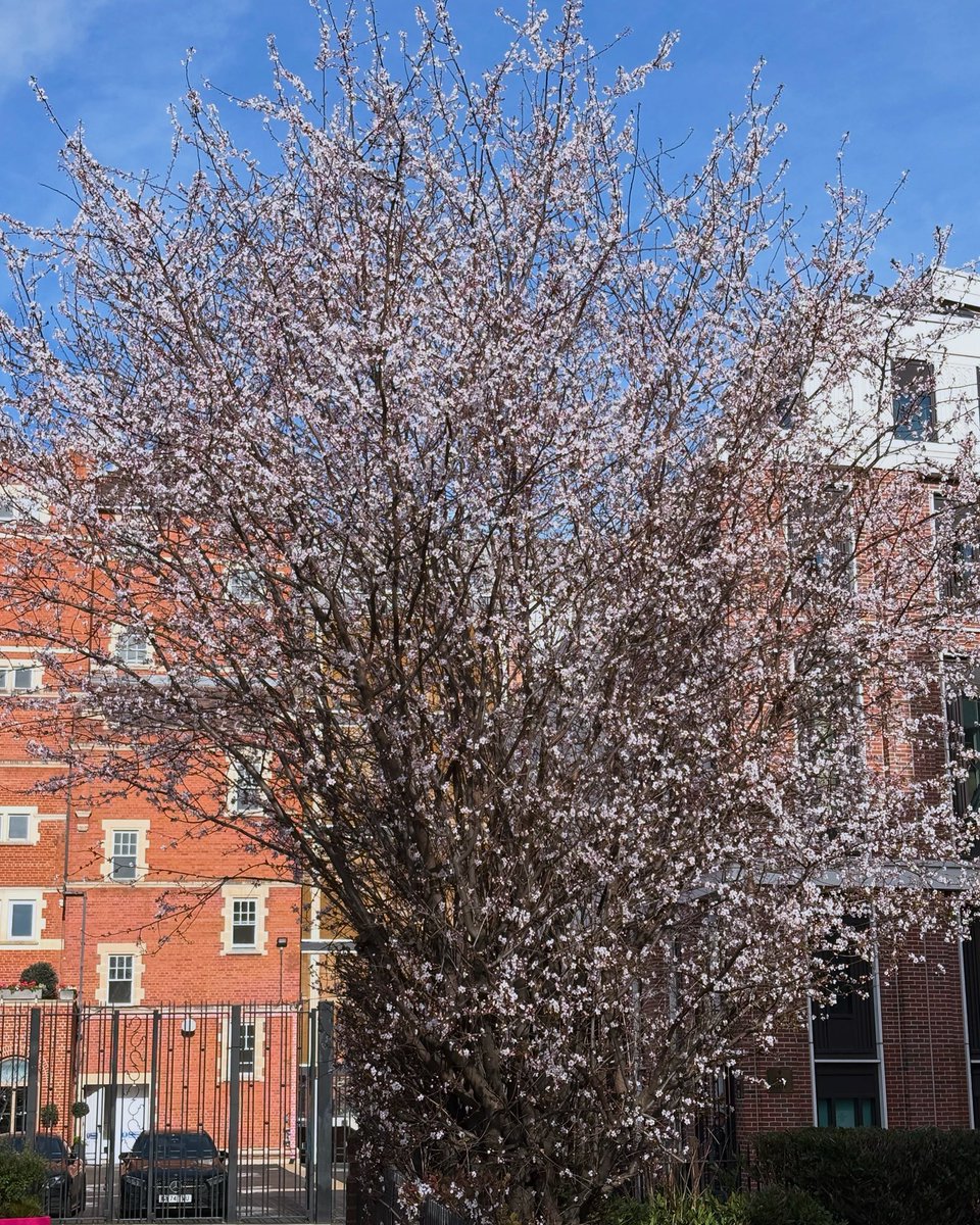 The Kennington Observer tweet media