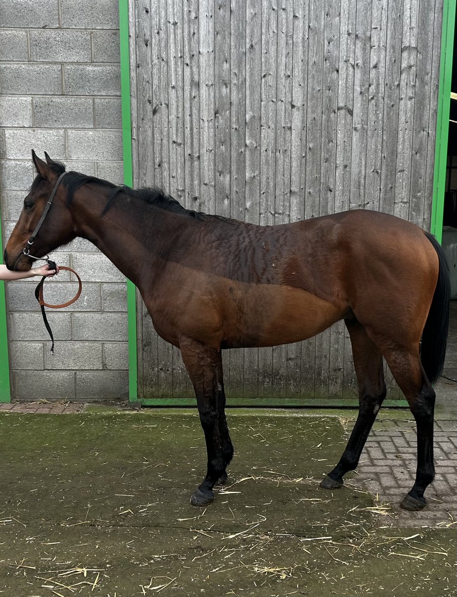 Martyn MacLeod tweet media