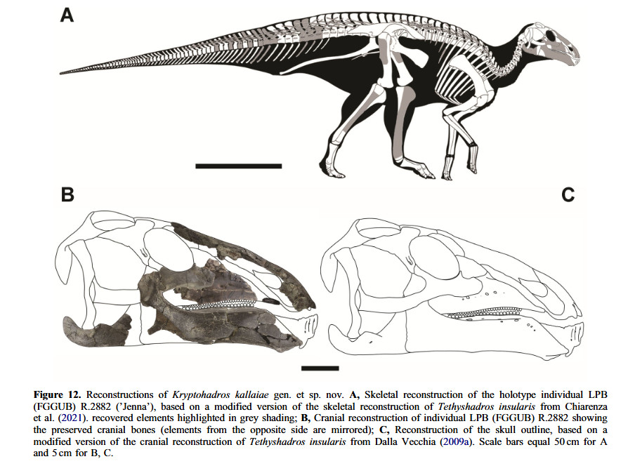 Hildoceras🇵🇸 tweet media