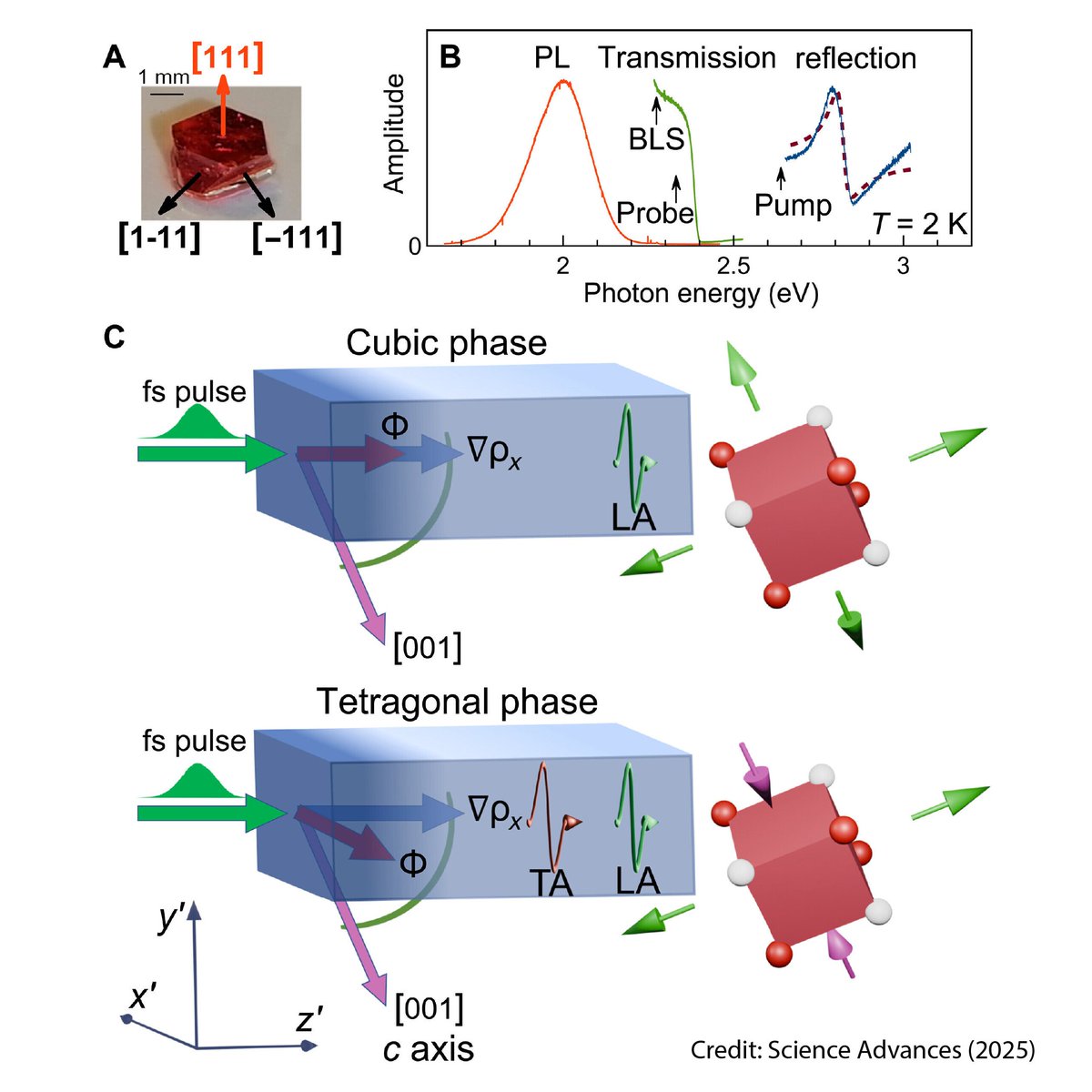 American Elements tweet media