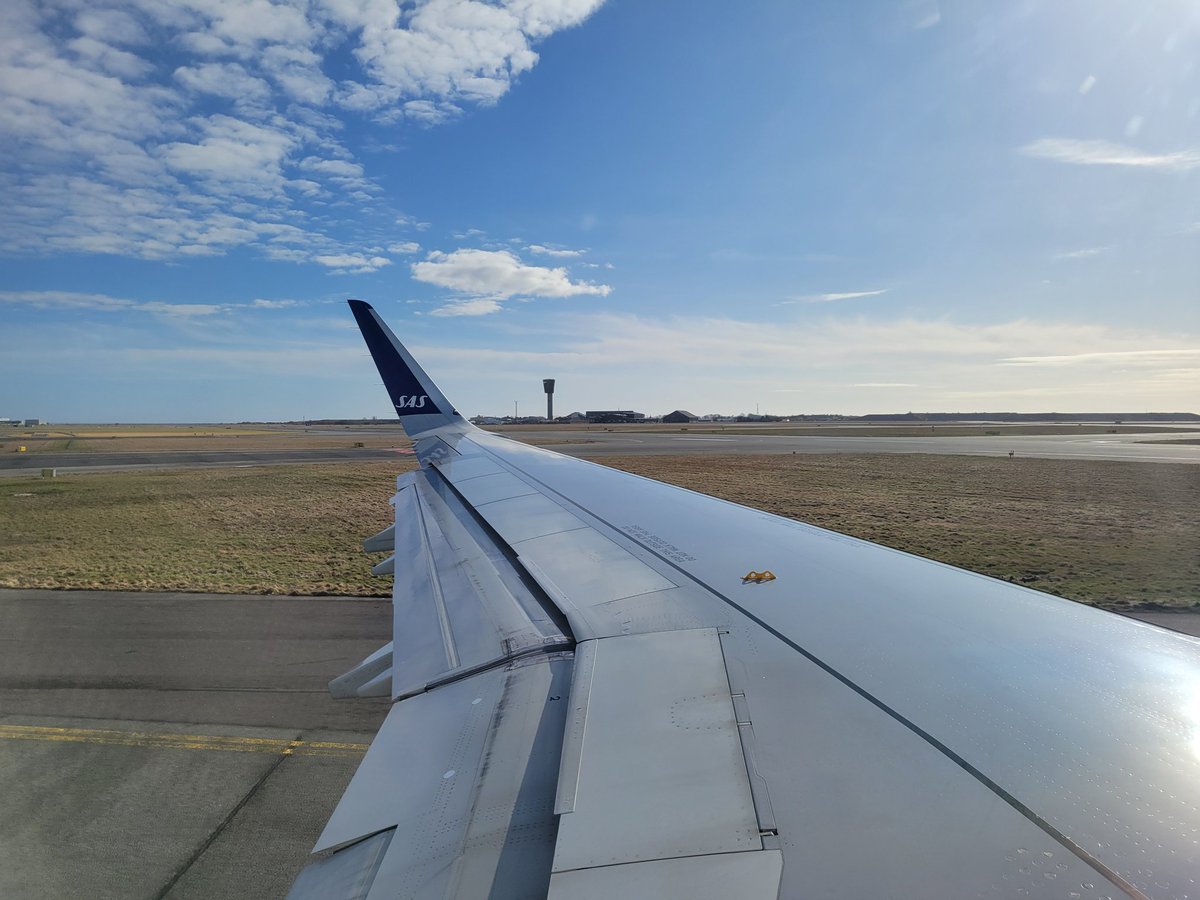 🍁 Teni Floof 🍁🔜VF tweet media