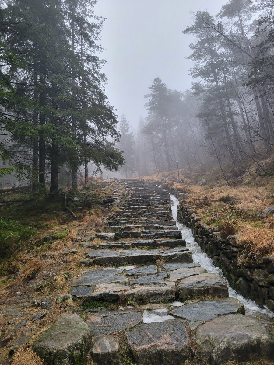 🍁 Teni Floof 🍁🔜VF tweet media