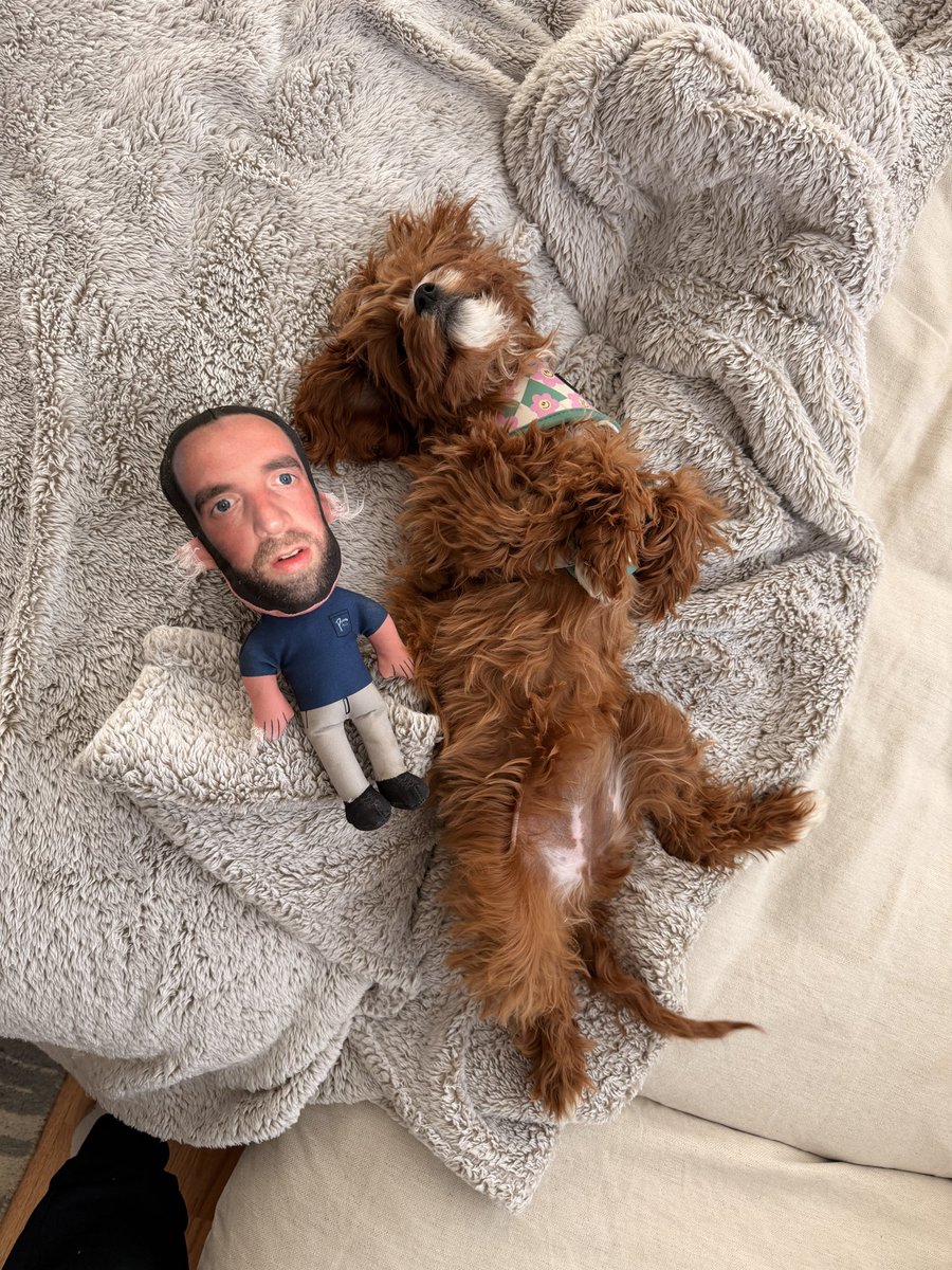 localwizard_'s tweet photo. wherever she goes, there he is 

cc @PFTCommenter @hen_ease @PardonMyTake https://t.co/R7RreUvnmt