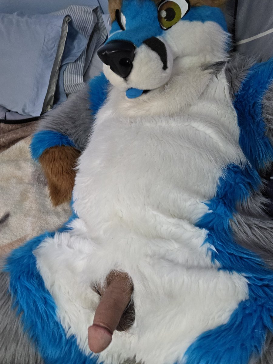 Fenris folf Ad tweet media