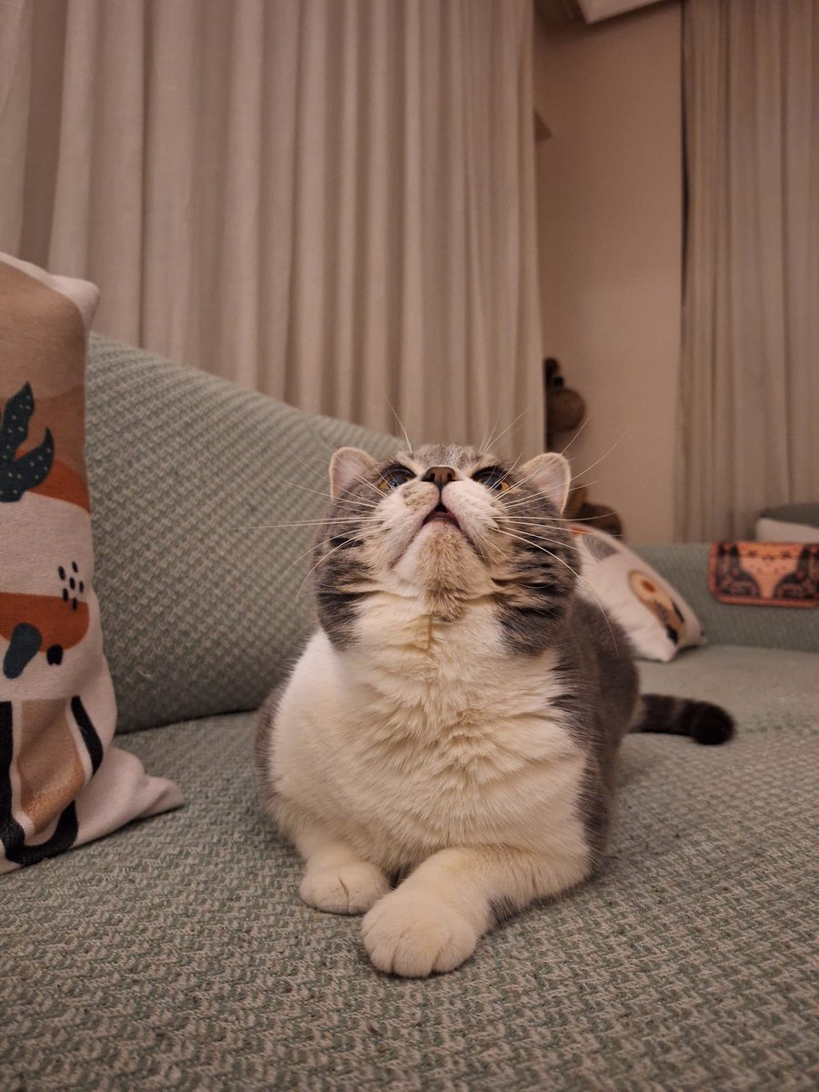 Satın alma sahiplen.