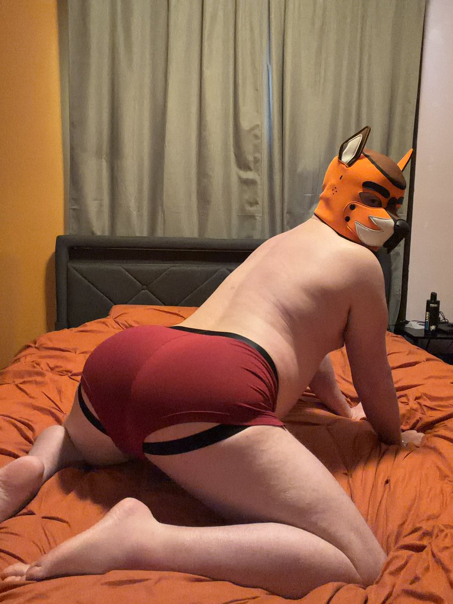 Who wants to come make some monday magic with the pup? 👀 😏 😈