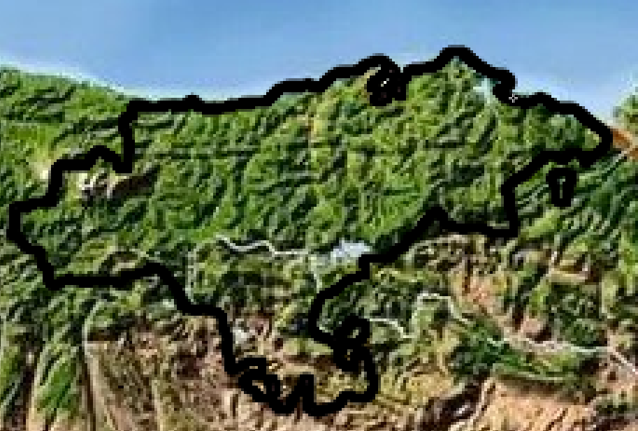 roko 🪖💢(Soldado de la 45) tweet media