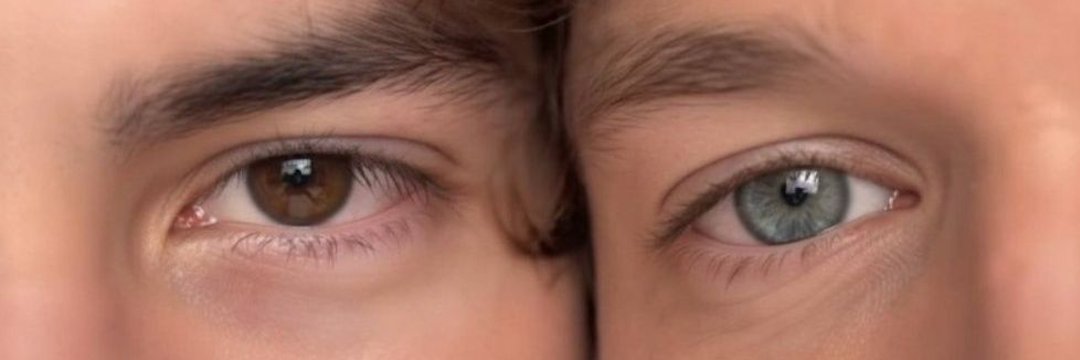 Kay ᥫ᭡ hudcon tweet media