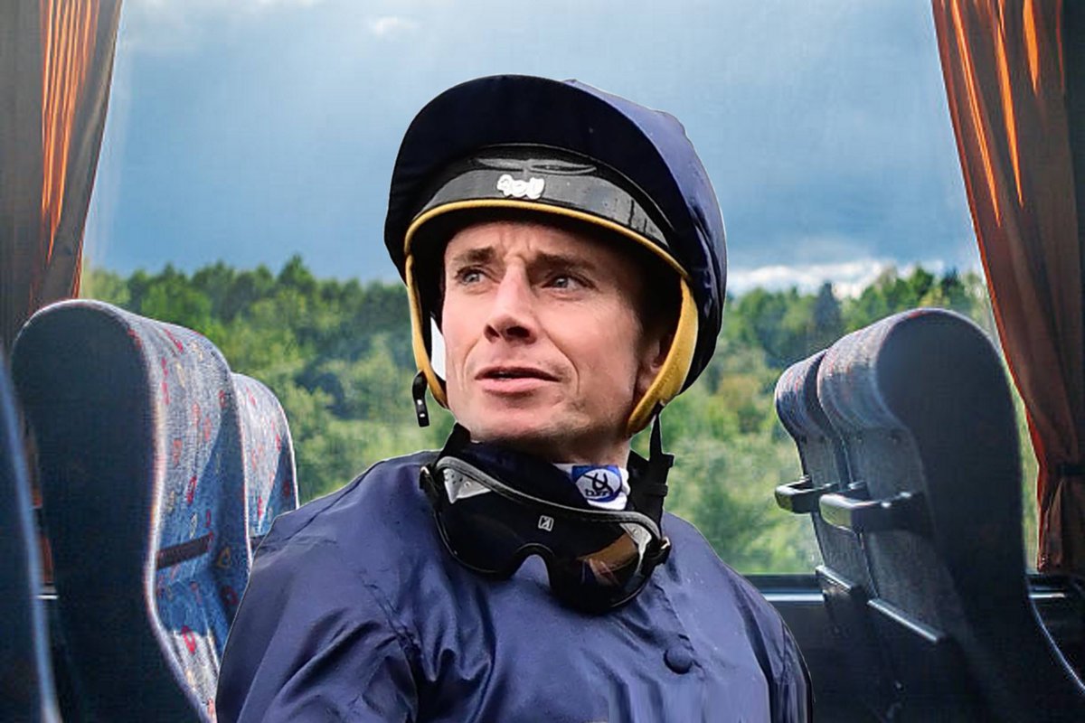 AIDANOBRIENFANSITE tweet media