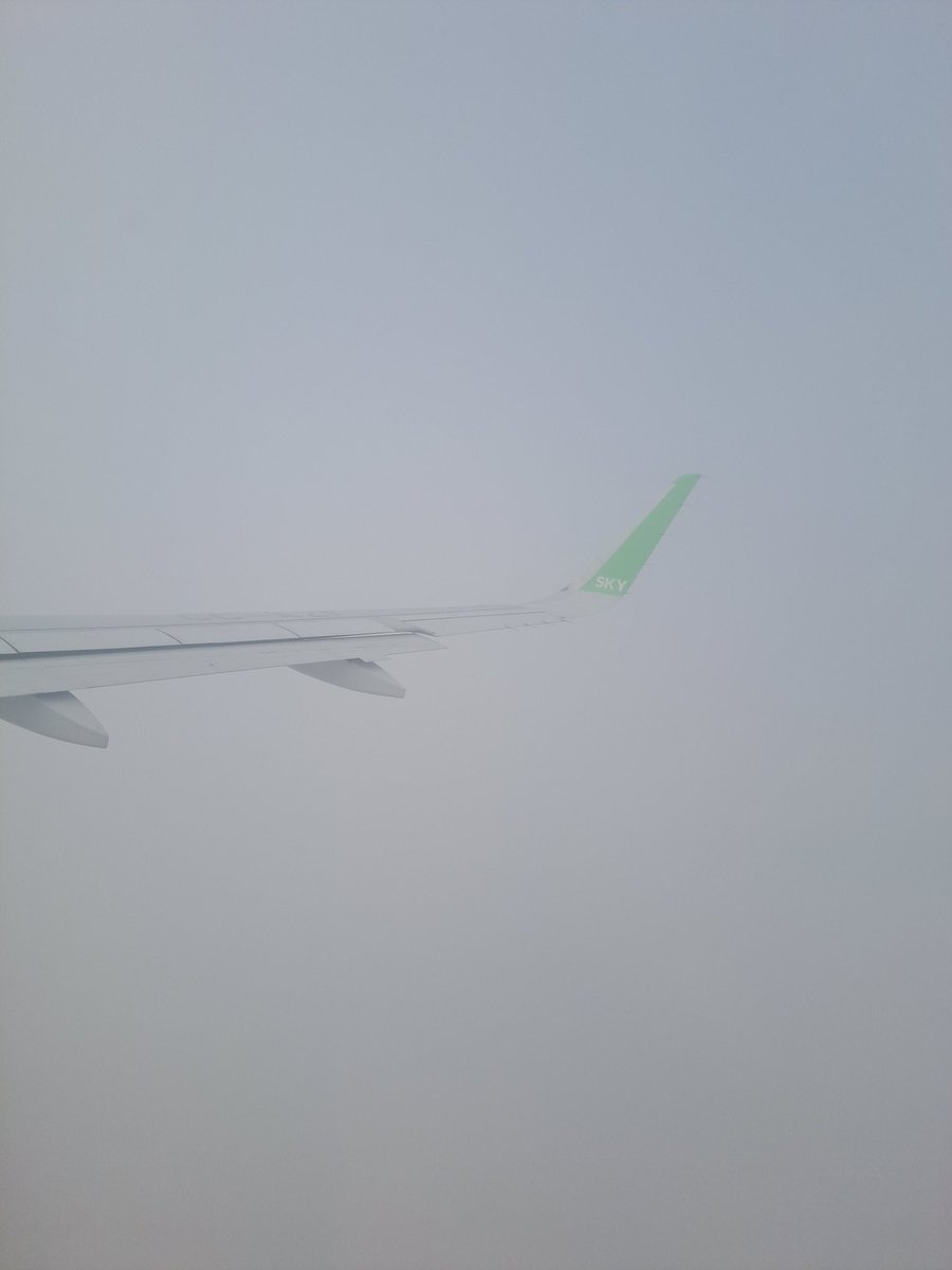 Jimmy_Rust tweet media