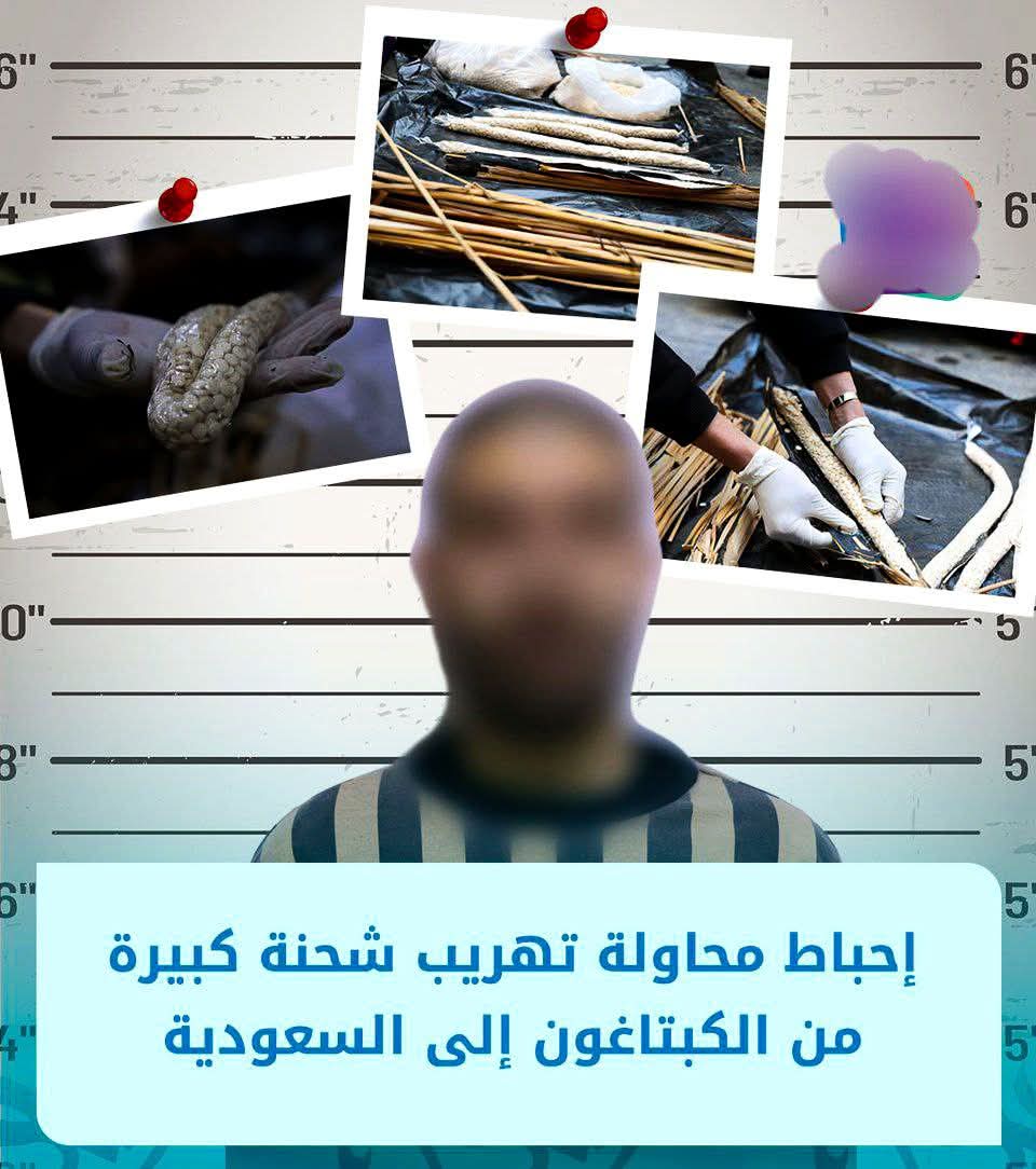 كلّما أُعلن عن شحنة مخدّرات أو جريمةٍ كبرى يُقال لنا إن الأمور تحت السيطرة لكن السؤال الأعمق: كيف تكاثرت هذه الآفات أصلًا؟ وكيف تمددت الشبكات حتى وصلت إلى هذا الحد
إن كان يرفع شعار الدين فخوف الله يظهر في إقامة العدل وفي سدأبواب الفساد وفي حماية الشباب قبل أن يُدمروا بهذه السموم