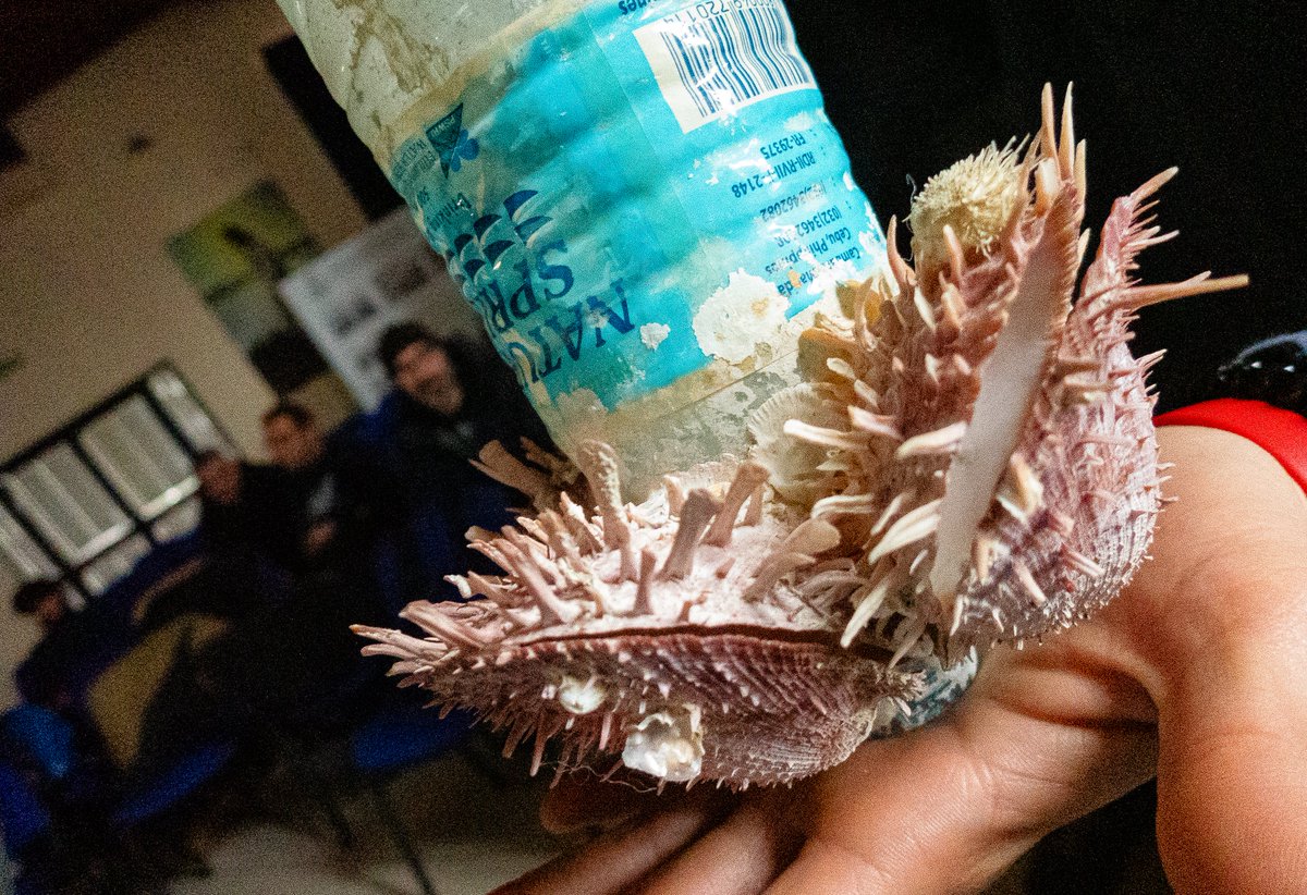 Lezione educazione ambientale al comune di Martinsicuro #abruzzo #martinsicuro #guida #ambiente #natura #teramo #GAE