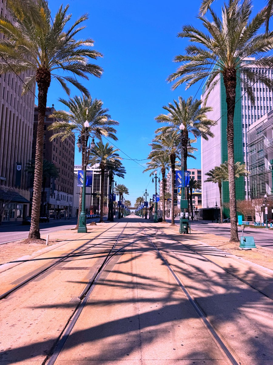 David Nola tweet media