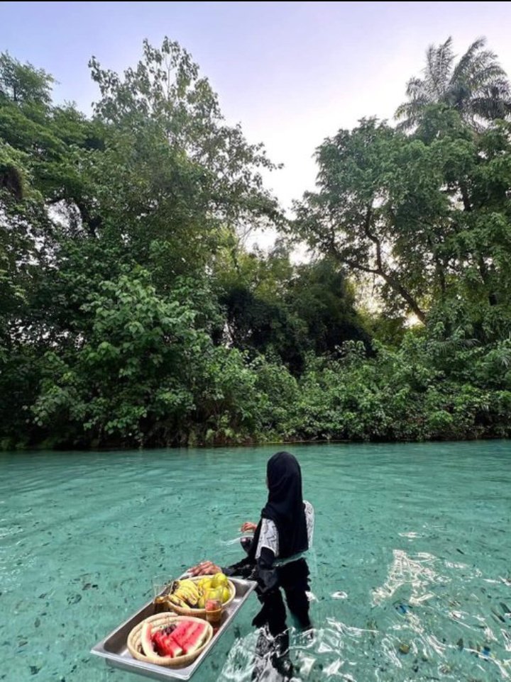 Most Nigerians 🇳🇬 have never seen the best part of their own country and it shows.

📍Wikki Warm Spring at the Yankari Game Reserve, Bauchi State, Nigeria.