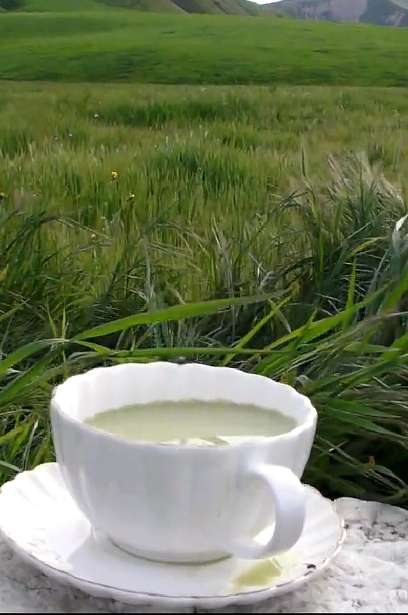 miroyato's tweet photo. you're a fake accelerationist if you dont drink motherboard matcha https://t.co/1b0BkoEFVb
