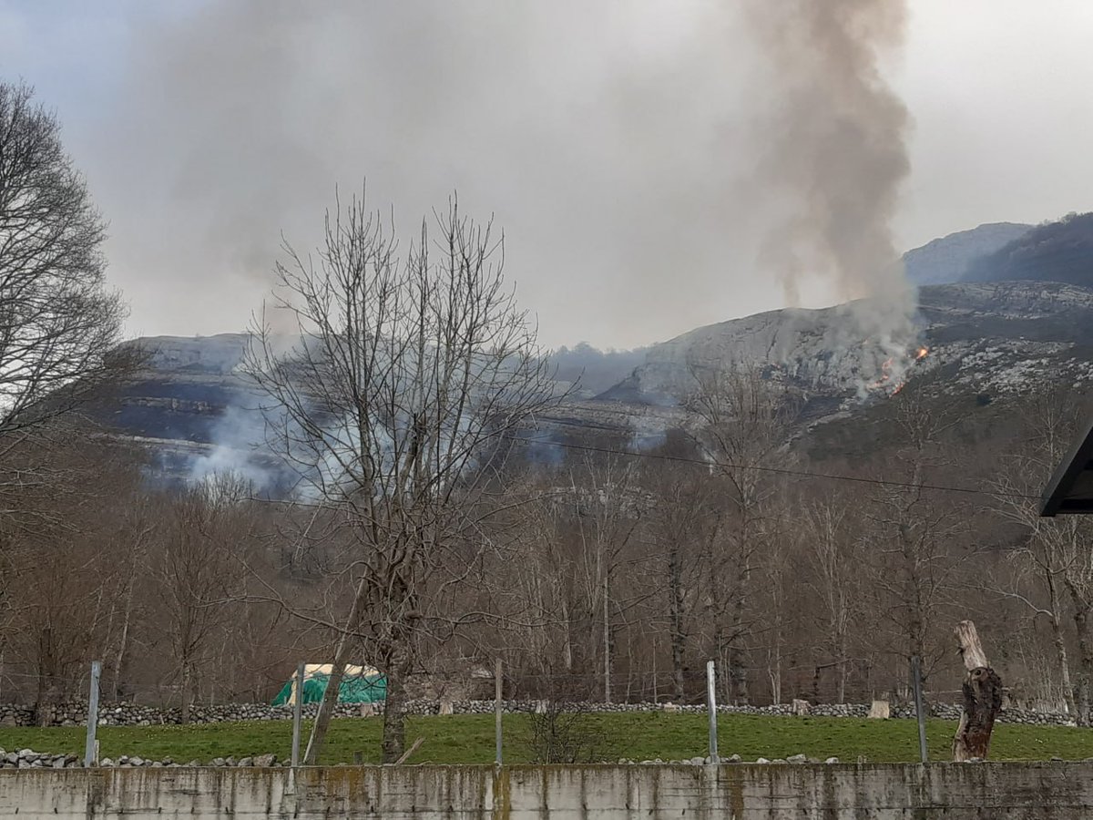 Naturaleza Castilla y León tweet media