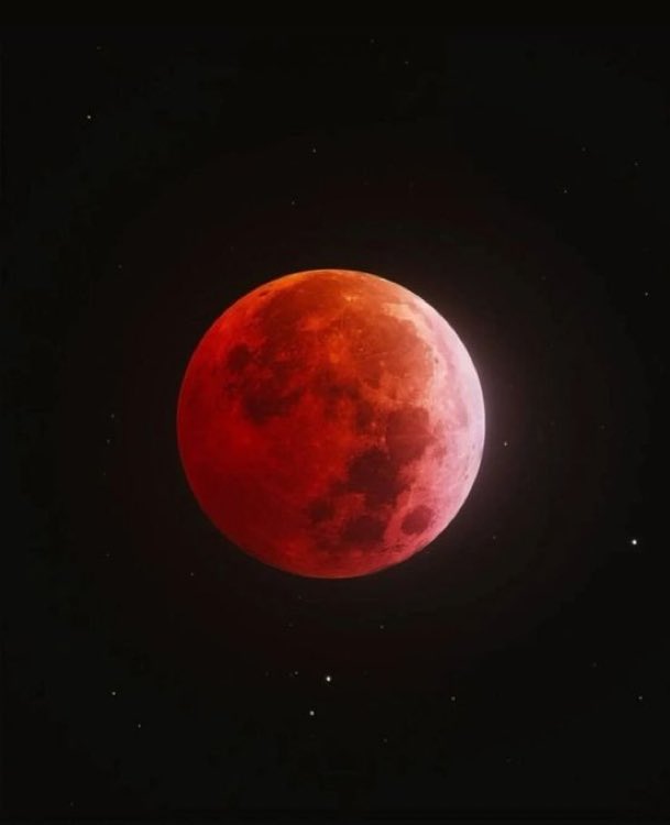 MOON LOVER tweet media