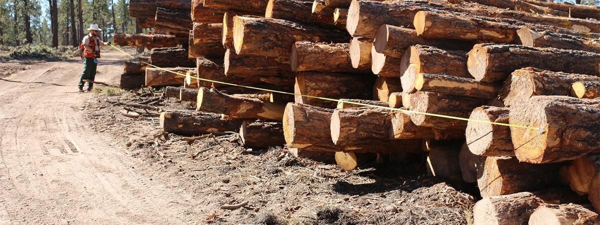 DHA eNews: Congress proposes economic relief for forest products harvest &amp; hauling companies, buff.ly/Xm5sMff

#Hardwoods #Hardwood #EconomicRelief #ForestProducts