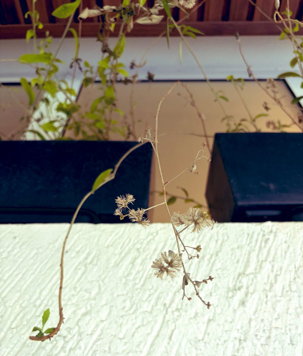 Oh to be captured by someone who loves you.