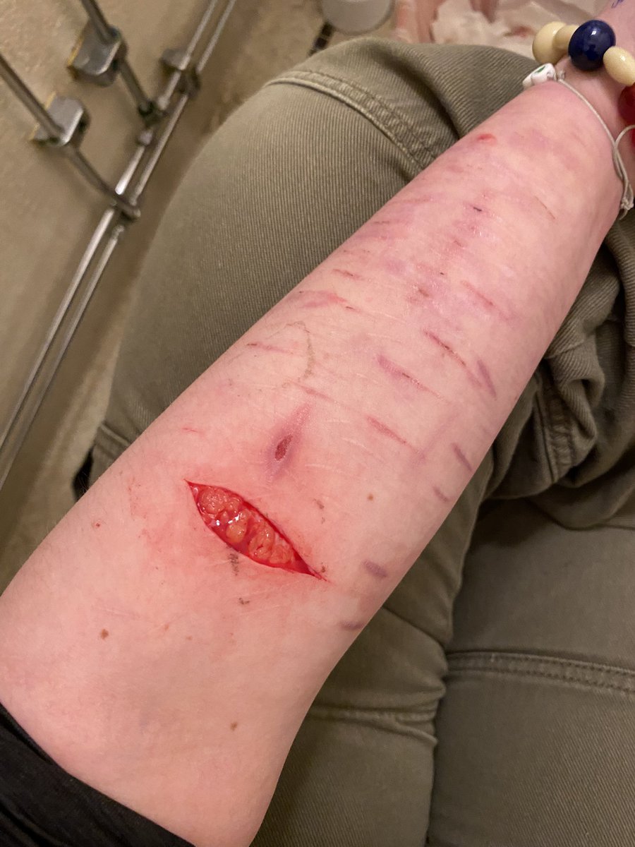 𝓲𝔃𝔃𝔂 - 𝓼𝓱𝓮𝓭𝓽𝔀𝓽 tweet media