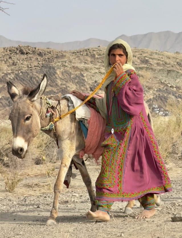 Uzair Baloch tweet media