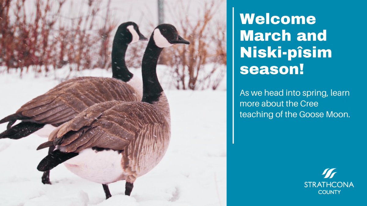 Strathcona County tweet media