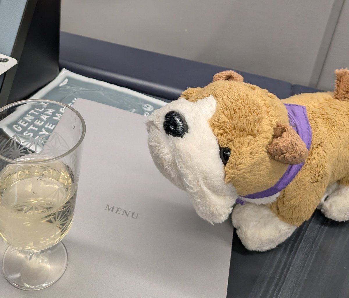 Speedbird Julie ✈️🍾🥂❤️⛸️ tweet media