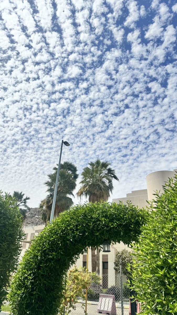 مـيَار بندر🐬 tweet media