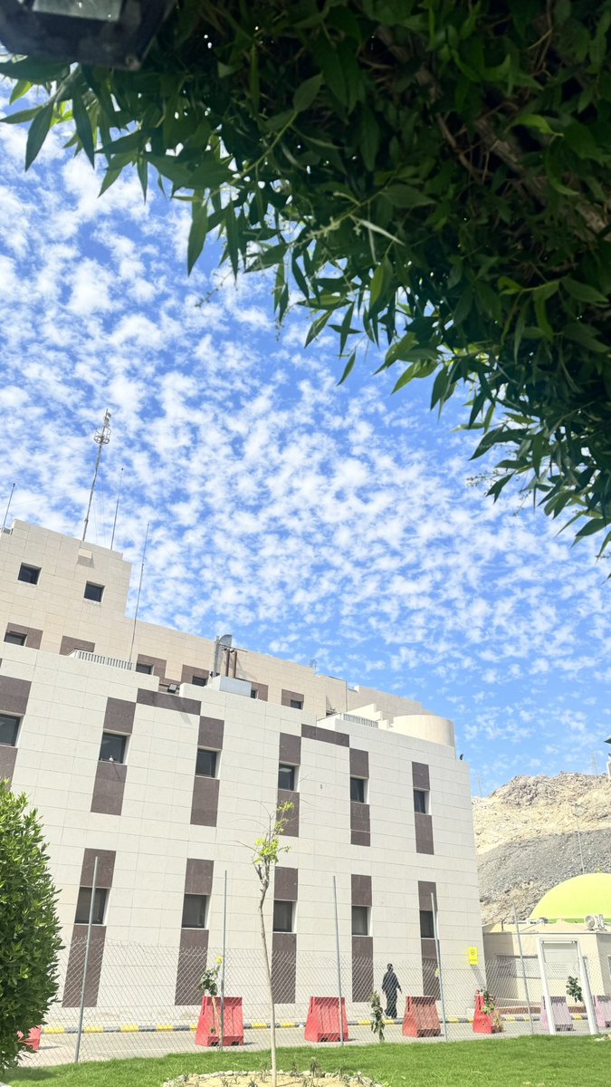 مـيَار بندر🐬 tweet media