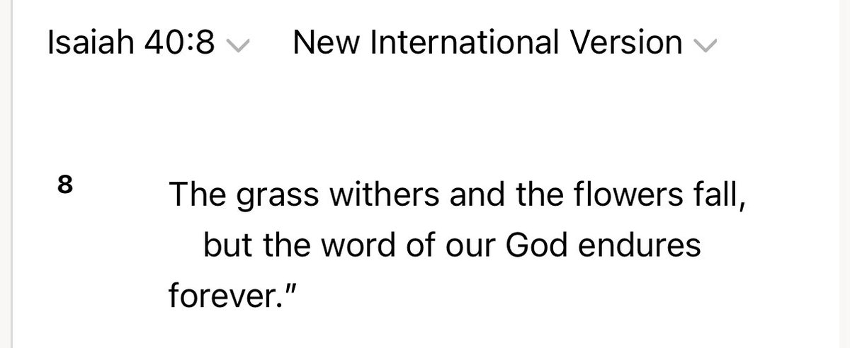 iyo ▵ (@iyoaudio) on Twitter photo 