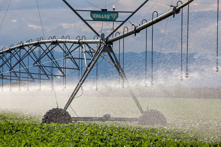 Fernando Bertello tweet media