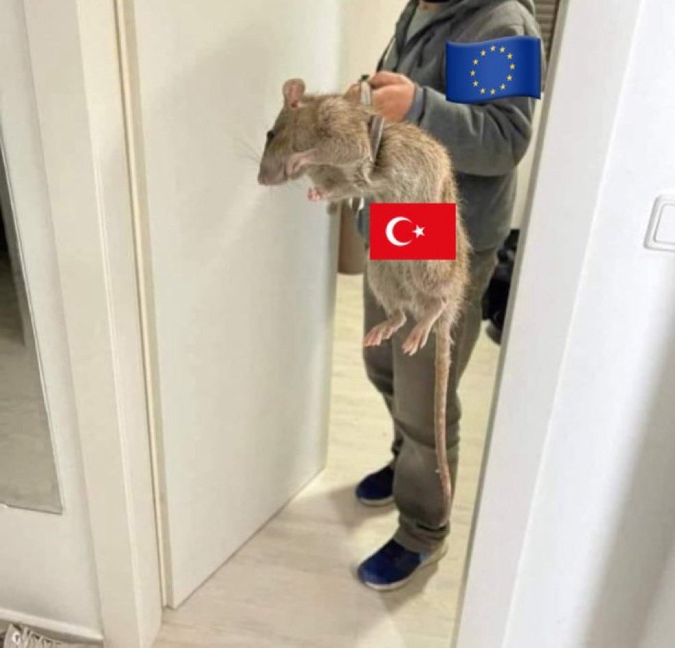 The Uncivilised One tweet media