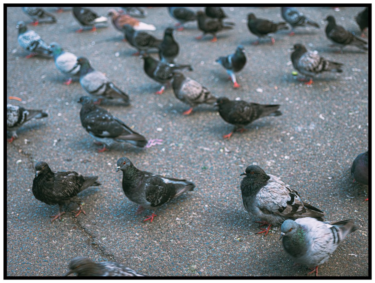 robotbackwards tweet media