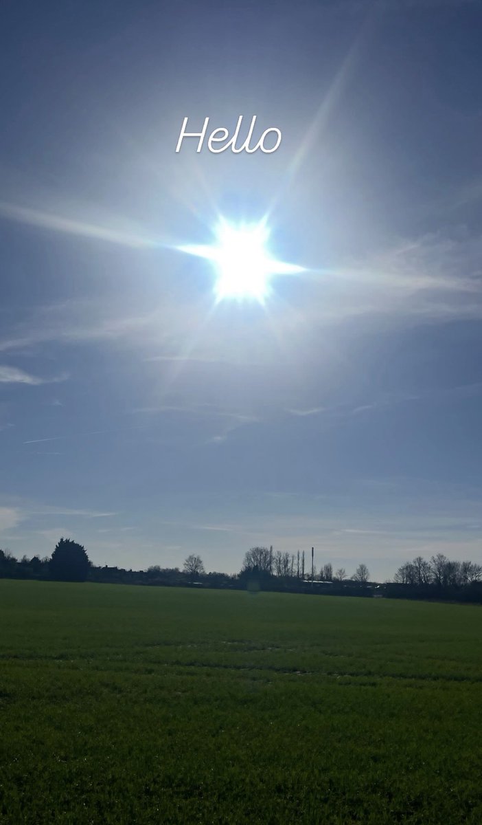 Dale ‘Ｇｏｌｆ Ｇｅｅｋ’ tweet media