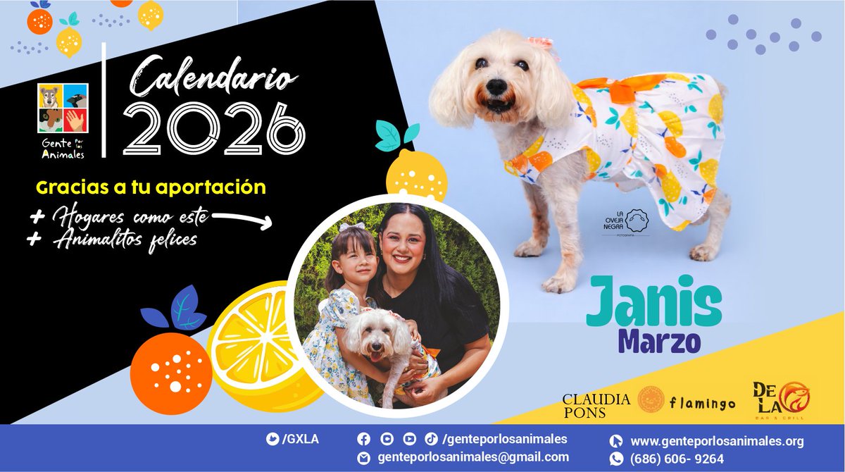 #CalendarioGXLA En marzo 2026 conoce la historia de #Janis, rescatada de la calle. Gracias a #ClaudiaPons #FlamingoSkinCare y #DeLaOBarGrill por su apoyo para esta edición del calendario ¡Adquiérelo y colabora con los #adoptables de #genteporlosanimales
