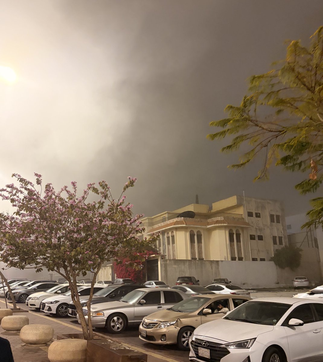 ضي القحطاني ❀ tweet media