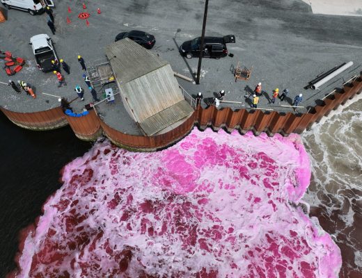 WhatsYourTech tweet media