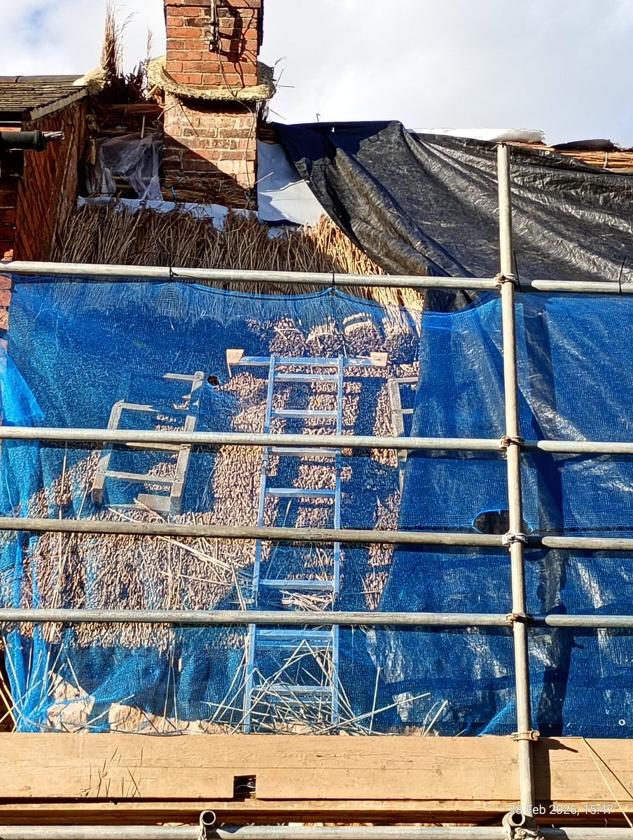 Nigel Marsh tweet media